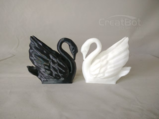 swan